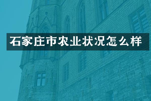 石家庄市农业状况怎么样