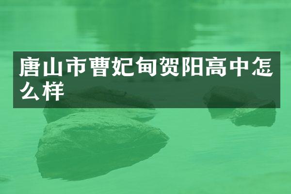唐山市曹妃甸贺阳高中怎么样