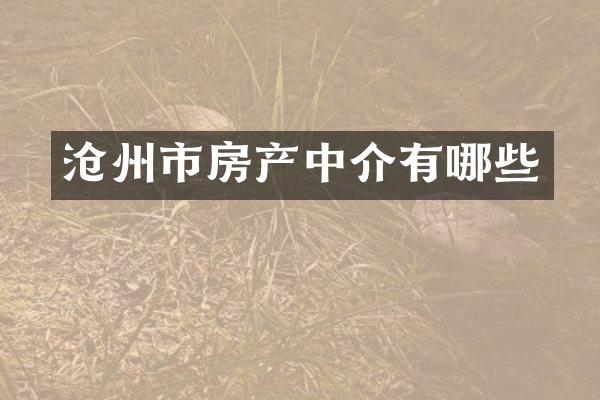 沧州市房产中介有哪些