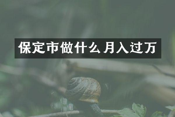 保定市做什么月入过万