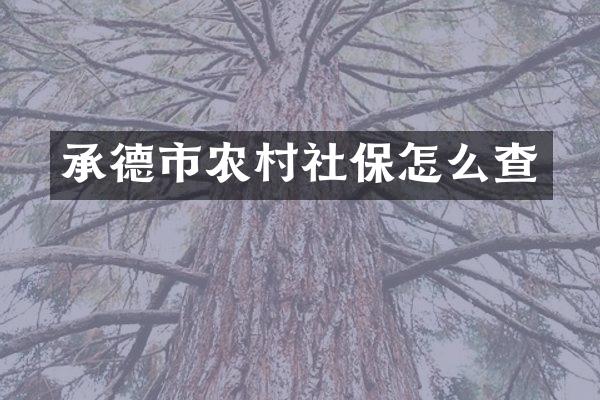 承德市农村社保怎么查