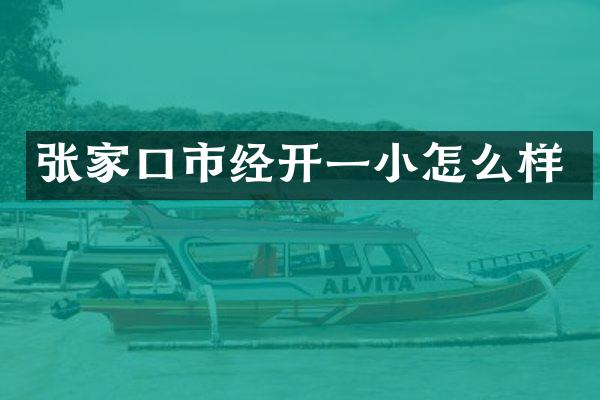 张家口市经开一小怎么样