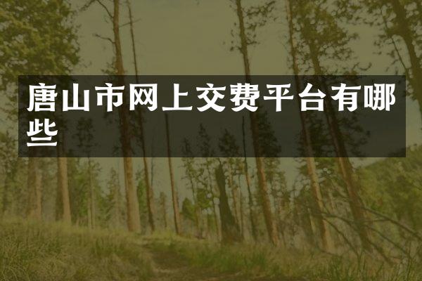 唐山市网上交费平台有哪些