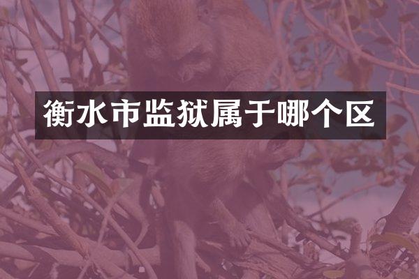 衡水市监狱属于哪个区