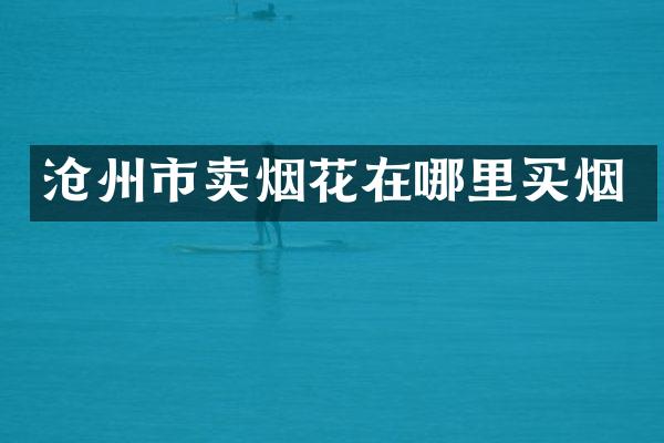 沧州市卖烟花在哪里买烟