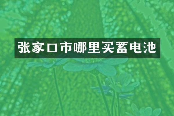张家口市哪里买蓄电池