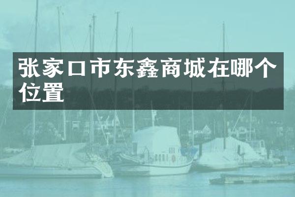 张家口市东鑫商城在哪个位置