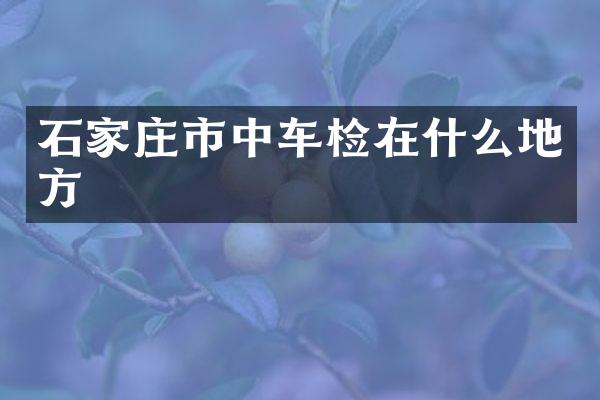 石家庄市中车检在什么地方
