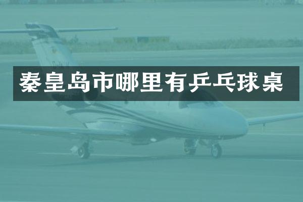 秦皇岛市哪里有乒乓球桌