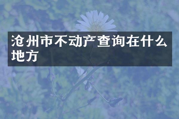 沧州市不动产查询在什么地方