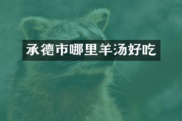 承德市哪里羊汤好吃