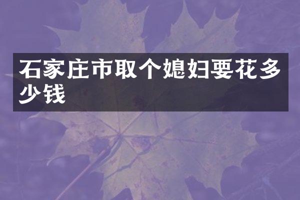石家庄市取个媳妇要花多少钱