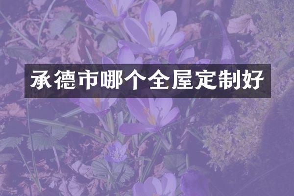承德市哪个全屋定制好
