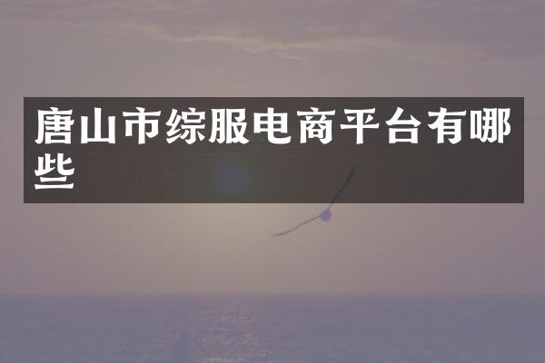唐山市综服电商平台有哪些