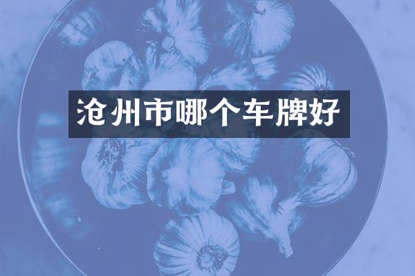 沧州市哪个车牌好