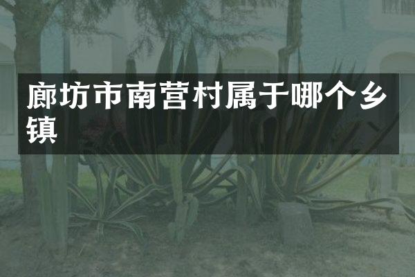 廊坊市南营村属于哪个乡镇