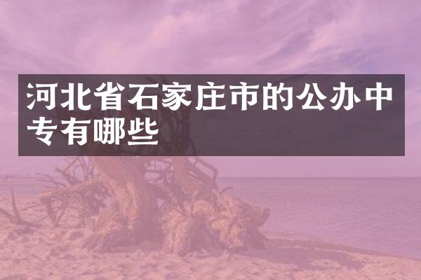 河北省石家庄市的公办中专有哪些