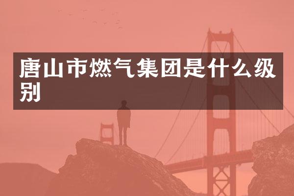 唐山市燃气集团是什么级别