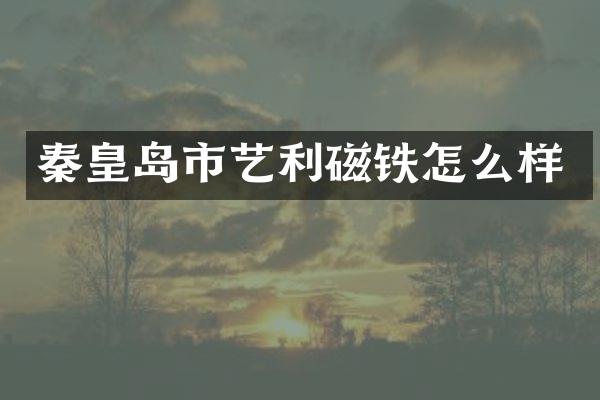 秦皇岛市艺利磁铁怎么样