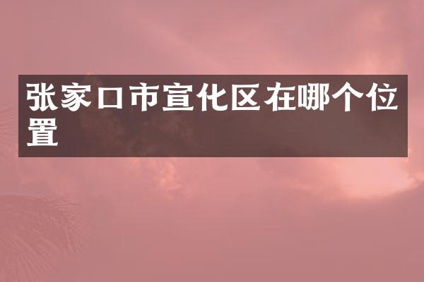 张家口市宣化区在哪个位置