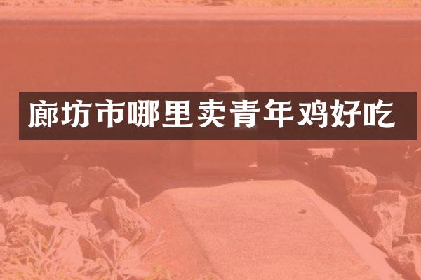 廊坊市哪里卖青年鸡好吃