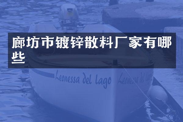 廊坊市镀锌散料厂家有哪些