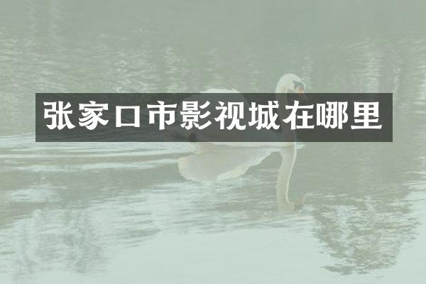 张家口市影视城在哪里
