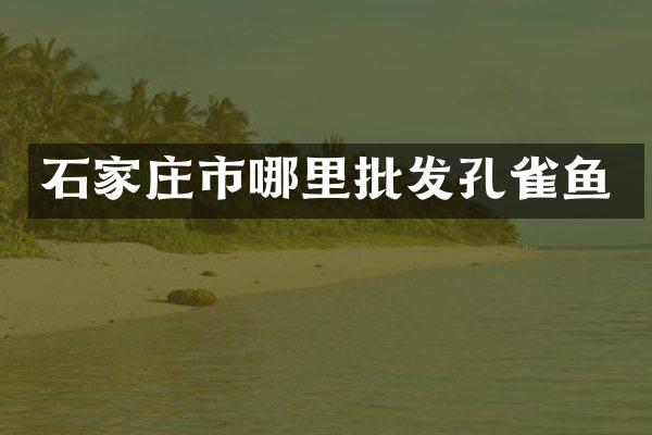石家庄市哪里批发孔雀鱼