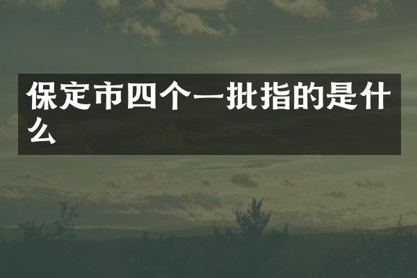 保定市四个一批指的是什么