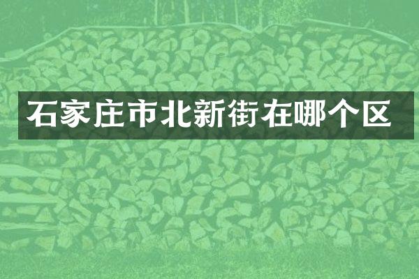 石家庄市北新街在哪个区