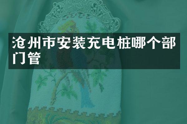 沧州市安装充电桩哪个部门管