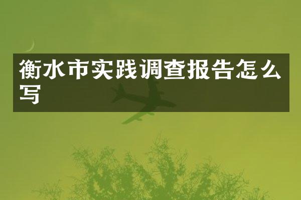 衡水市实践调查报告怎么写