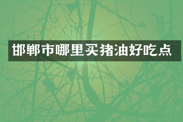 邯郸市哪里买猪油好吃点