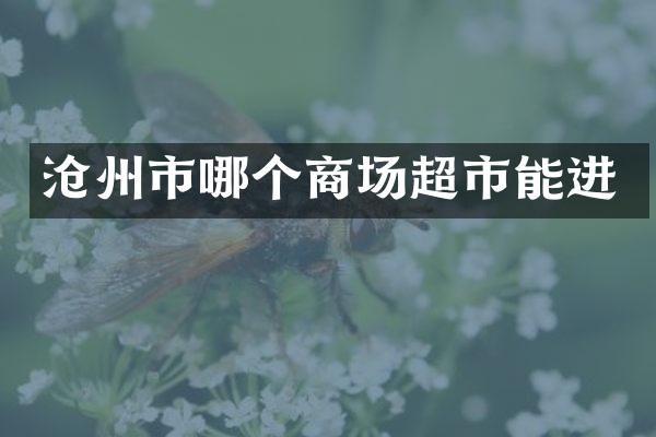 沧州市哪个商场超市能进
