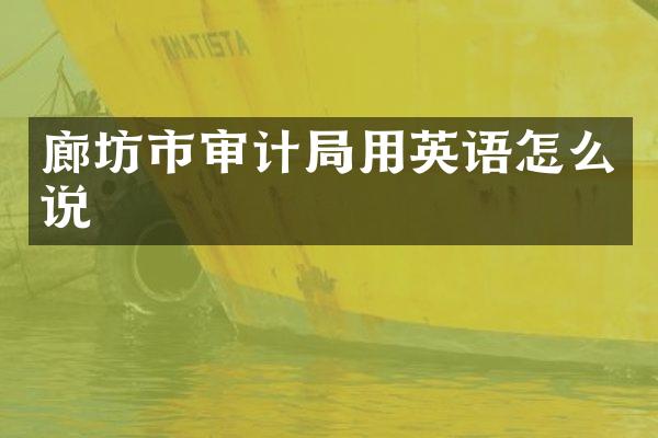 廊坊市审计局用英语怎么说