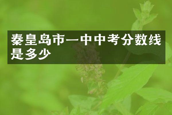 秦皇岛市一中中考分数线是多少