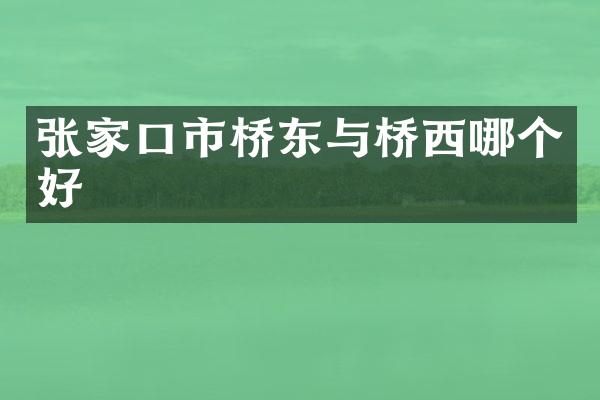 张家口市桥东与桥西哪个好