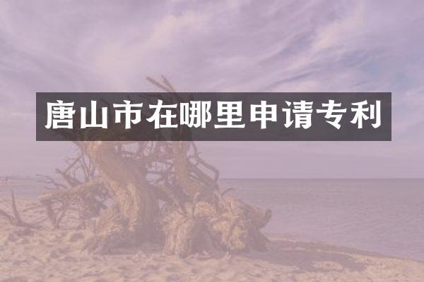 唐山市在哪里申请专利