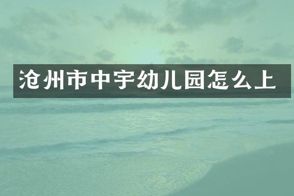 沧州市中宇幼儿园怎么上