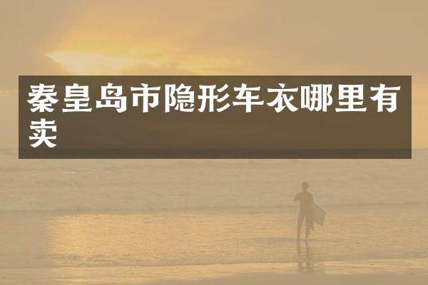 秦皇岛市隐形车衣哪里有卖