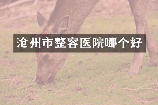 沧州市整容医院哪个好
