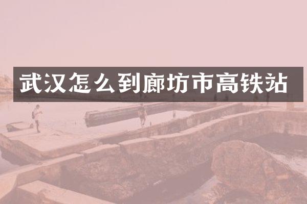 武汉怎么到廊坊市高铁站