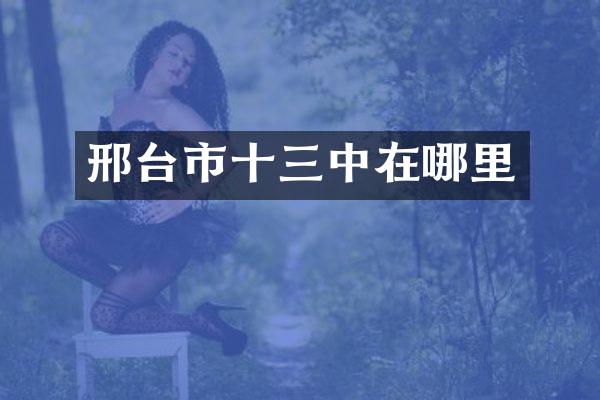 邢台市十三中在哪里