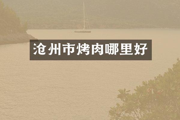 沧州市烤肉哪里好