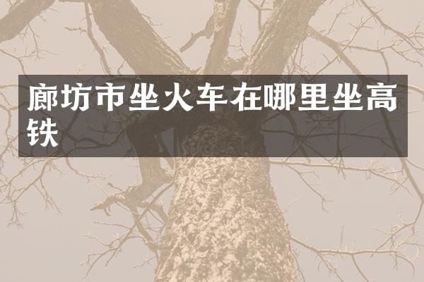 廊坊市坐火车在哪里坐高铁