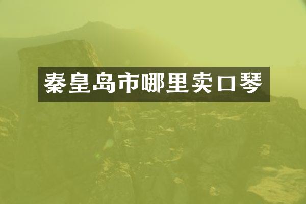 秦皇岛市哪里卖口琴