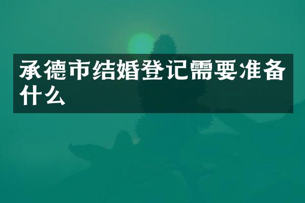承德市结婚登记需要准备什么