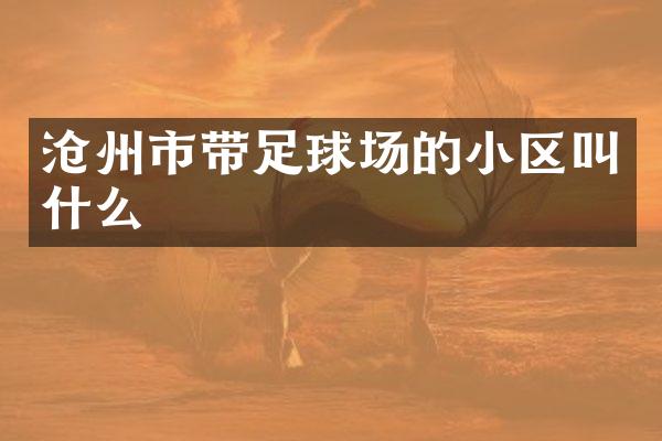 沧州市带足球场的小区叫什么