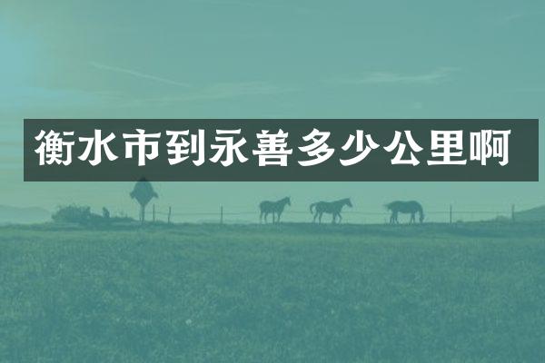衡水市到永善多少公里啊