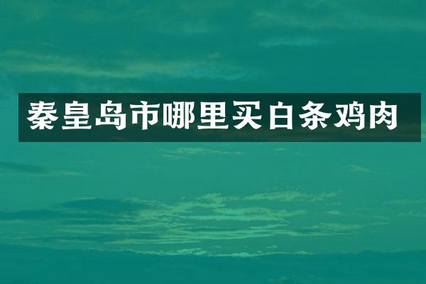 秦皇岛市哪里买白条鸡肉